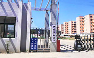 K体育